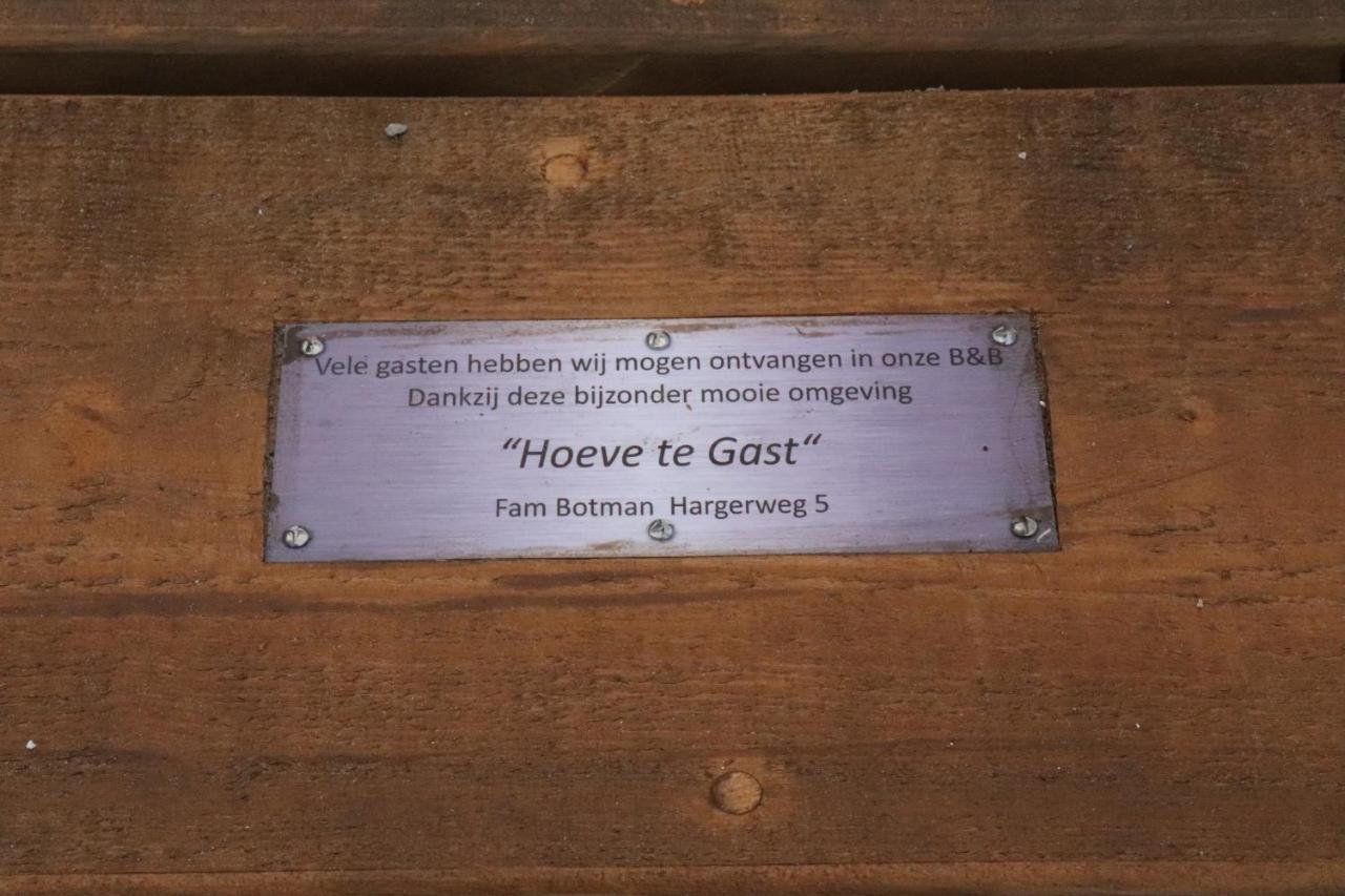 Hoeve Te Gast - Vakantieboerderij Groet Exterior foto